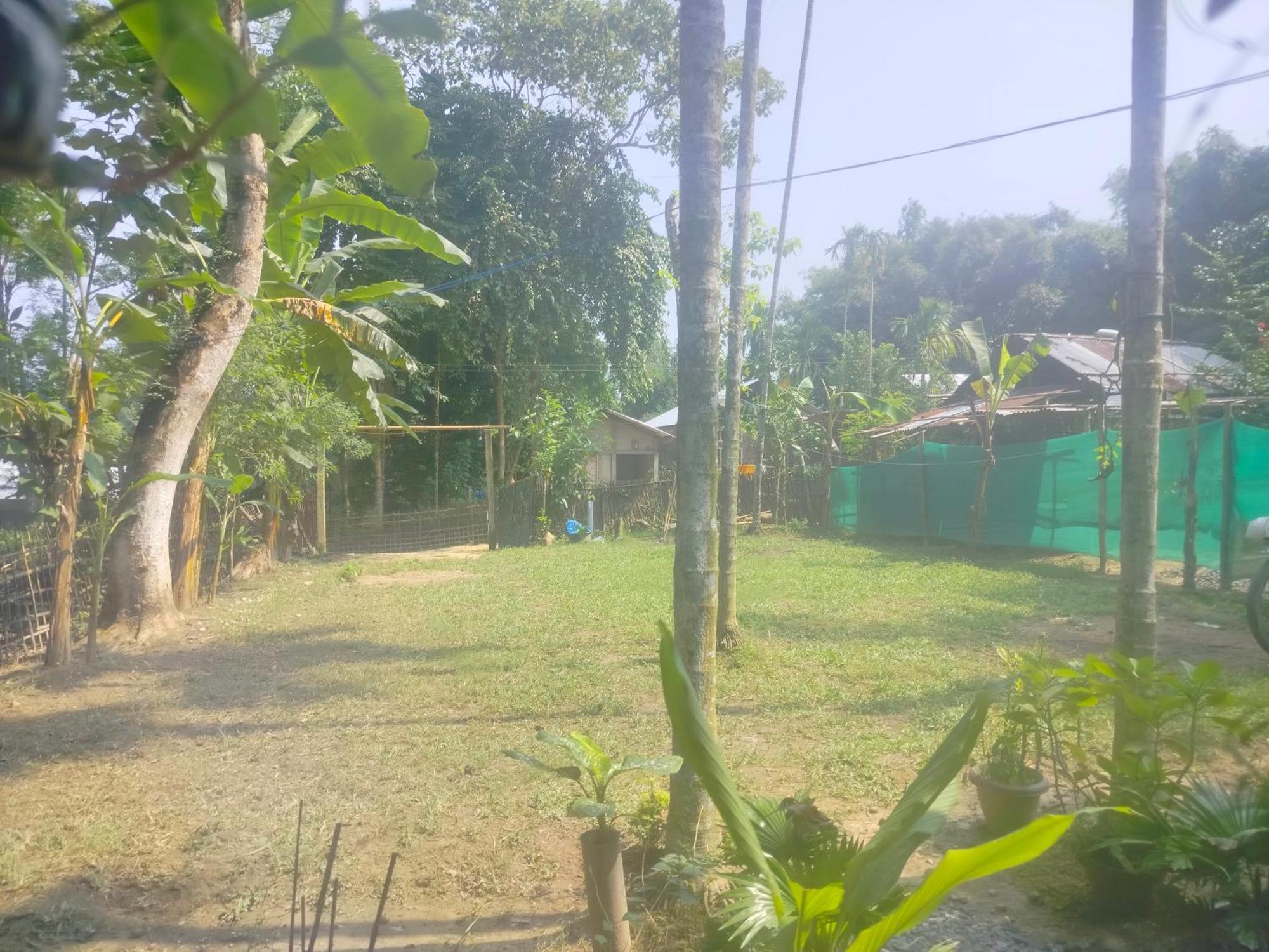 Tranquil Bambusic Bliss Villa กาซิรังคา ภายนอก รูปภาพ